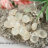Адуляр (Лунный камень) комплект бусин на фото бриолет ручной огранки 10х8 мм  - 